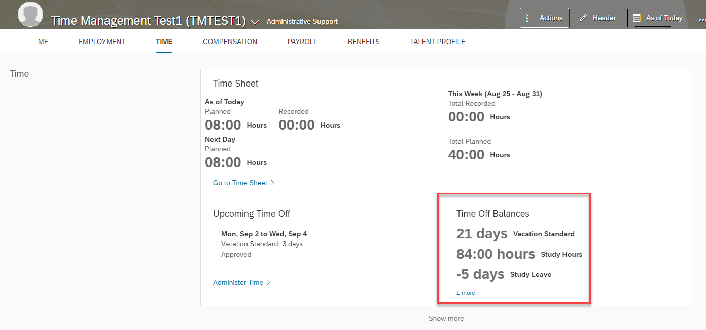 Time Off Balances.png