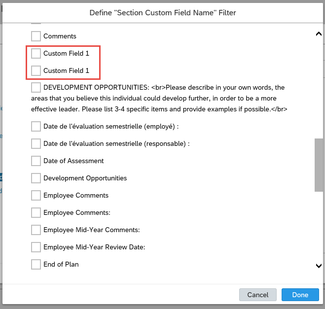 Custom Field Name filter duplicate.png