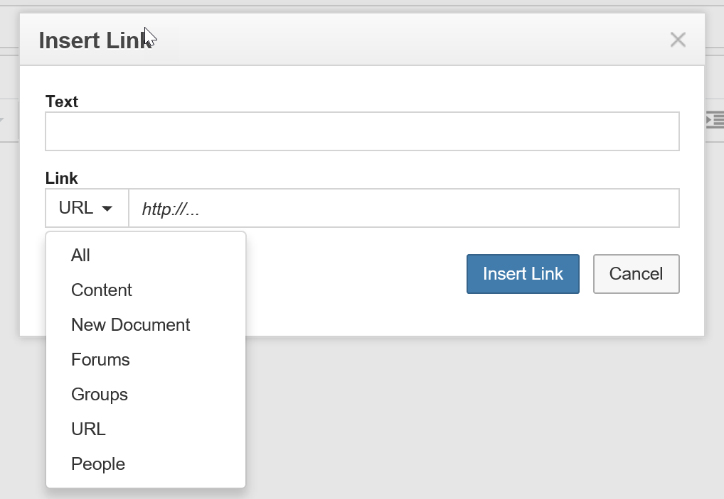 insert link options.png