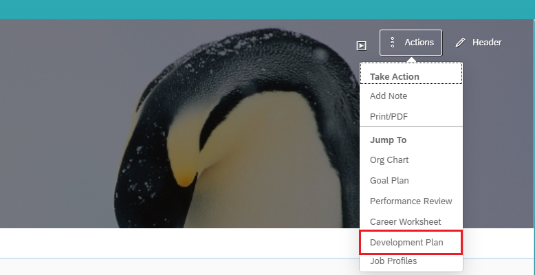 quickCardDevPlan.png
