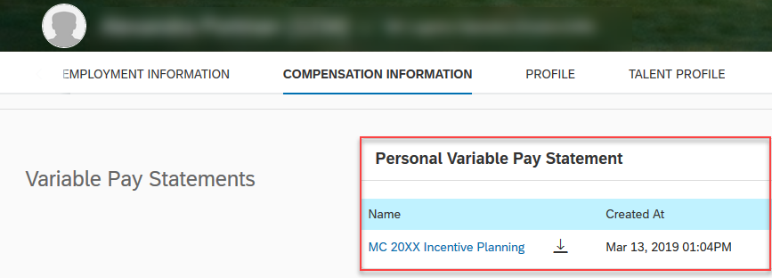 variable pay statement view.png