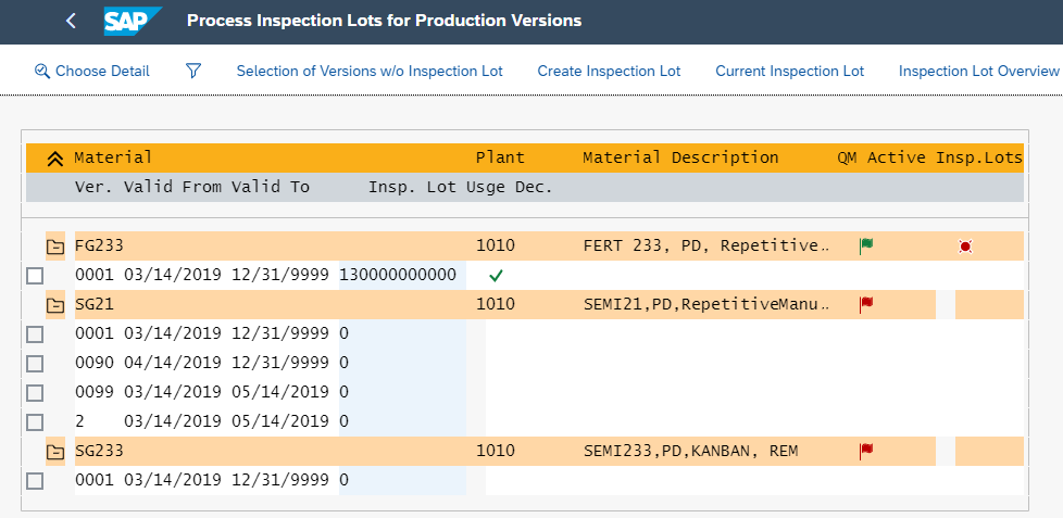 Process Inspection Lot for Versions-list.png