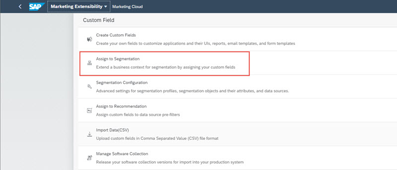 assign cf to segmentation2.jpg