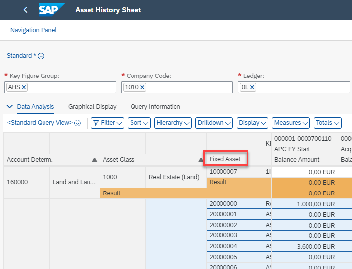 Fixed Asset Column shown