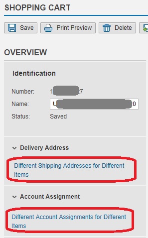Delivery Address and Account Assignment EN.jpg