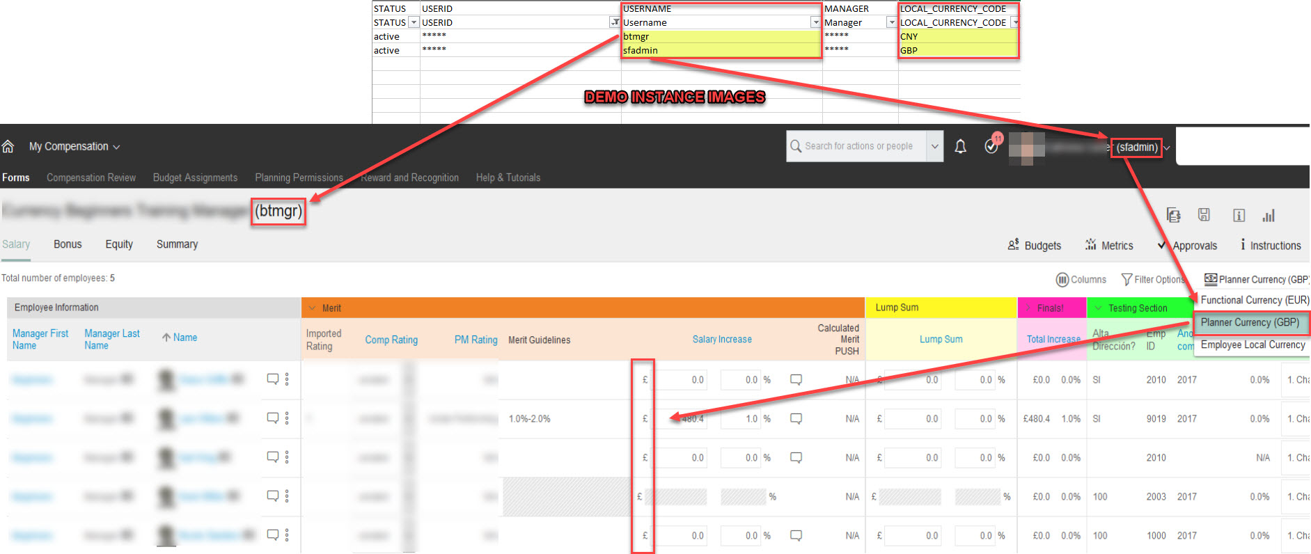 Planner currency view.jpg