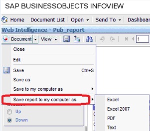Save report to my computer option.jpg