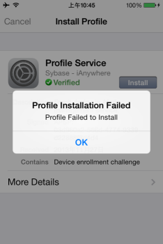 ScreenShot Install Profile.png
