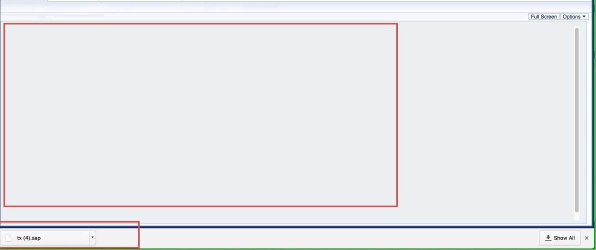 SAPGUIError.jpg