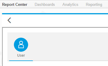 Report Center User.jpg