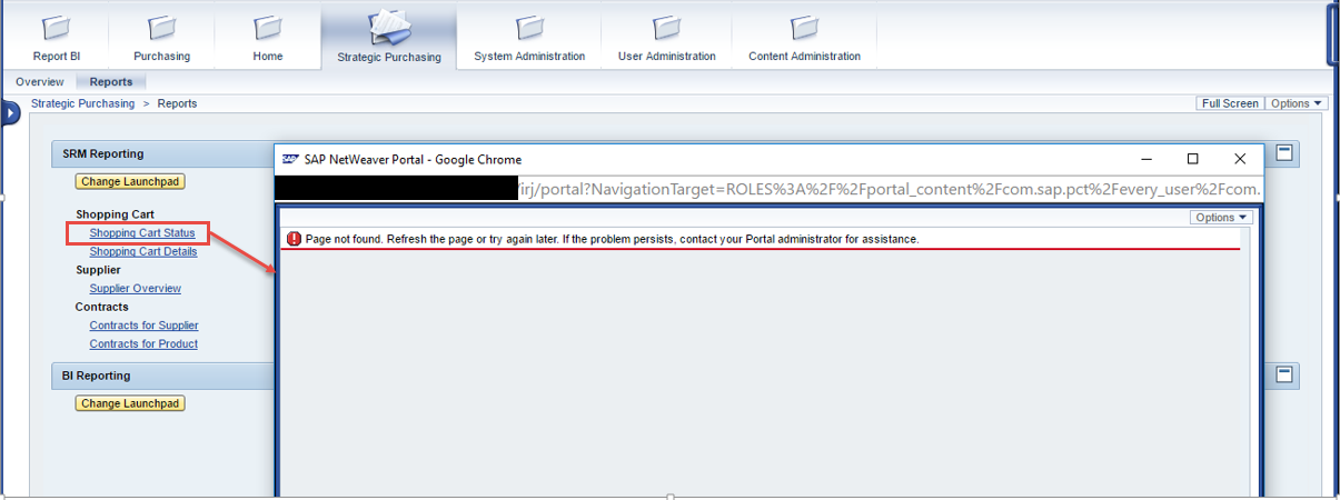 Error When Opening SRM Report.png
