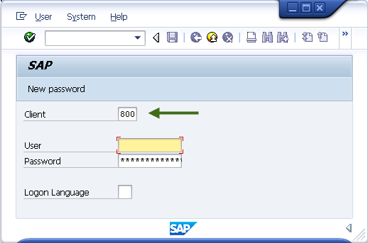 SAP BW Logon - 03.png