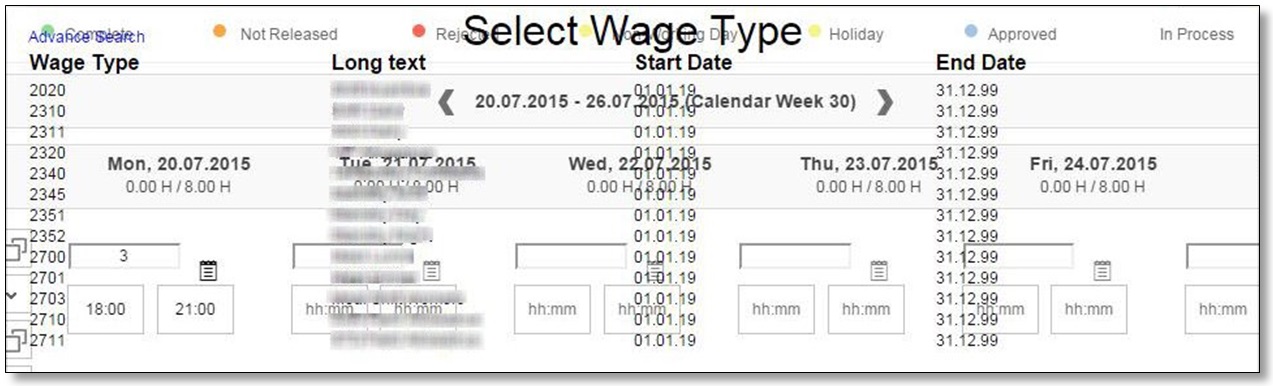 2.Select Wage Type.jpg