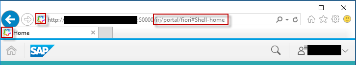 IE_fiori_custom.png