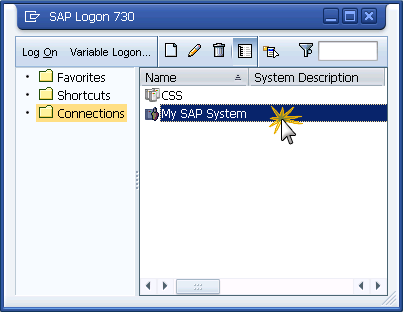 SAP BW Logon - 01.png