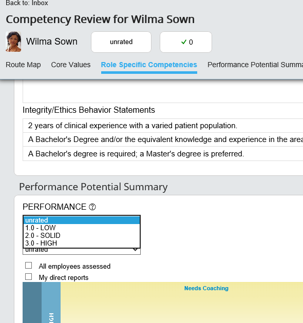 Performance Rating scale.png