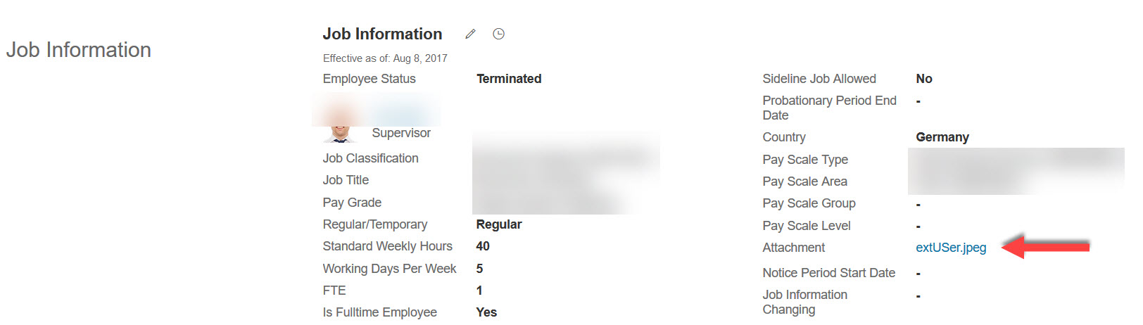 term2.jpg