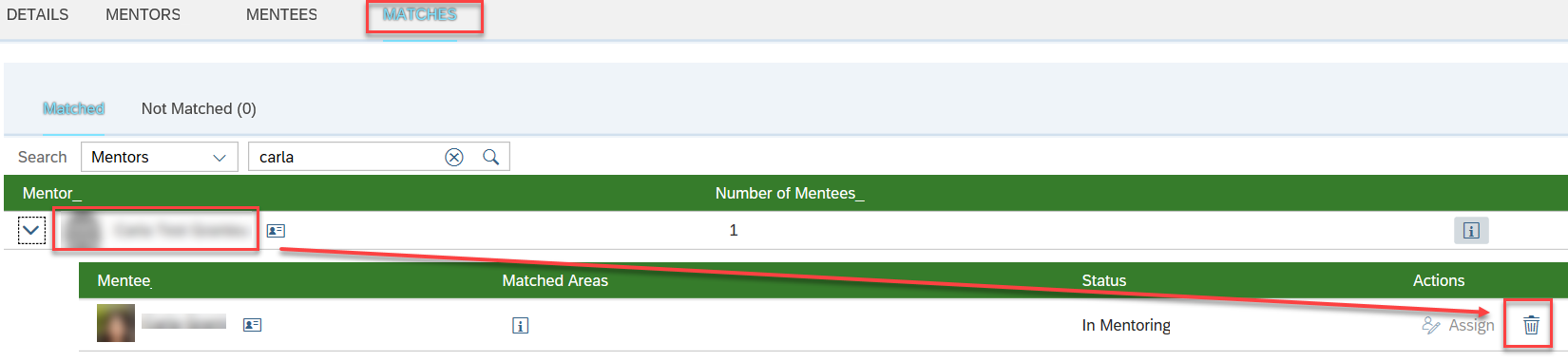 Mentoring Delete Manually.png