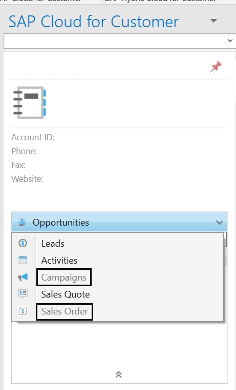 Outlook Add-in Objects greyed out.jpg