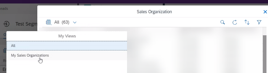Sales Organization search leads to non standard query.png