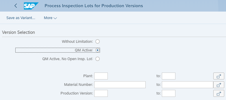 Process Inspection Lot for Versions.png
