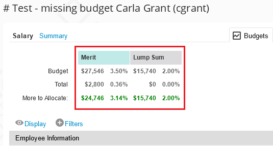 Carla's form - budget UPDATED3333.png